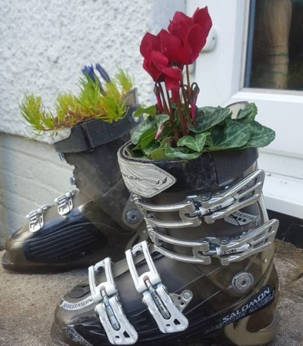 Plants in ski boots