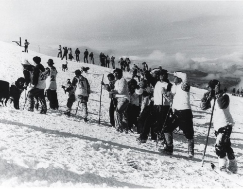 Coronet Peak dog derby 1975 Coronet Peak dog derby 1975