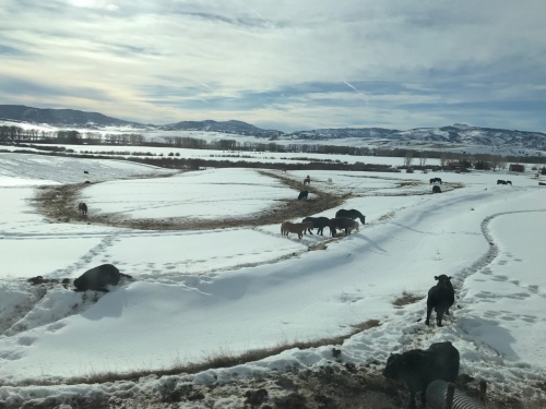 Steamboat, Colorado