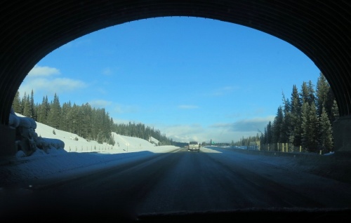 Banff to Lake Louise