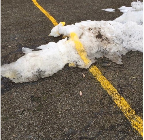What happens when the snow melts? 😎 What happens when the snow melts? 😎