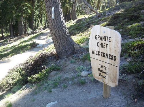 Tahoe National Forest